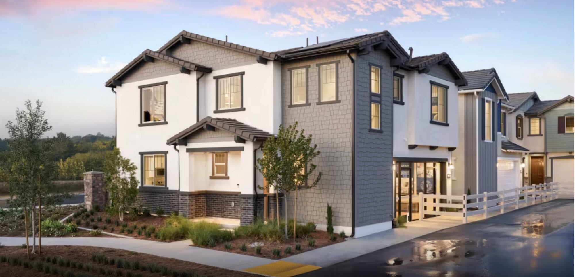 Iris at Wildflower Acres